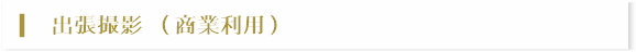 出張撮影(商業利用)